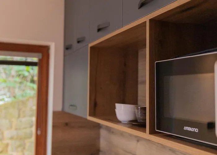 鲁斯迪卡公寓 *