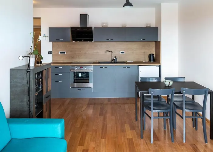 公寓 鲁斯迪卡公寓 *