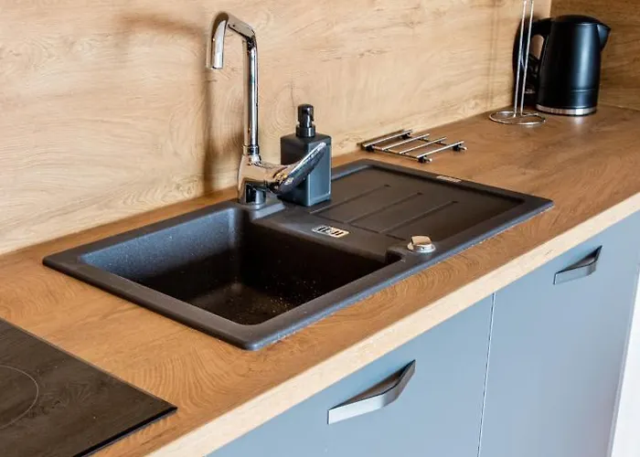 鲁斯迪卡公寓 公寓 *