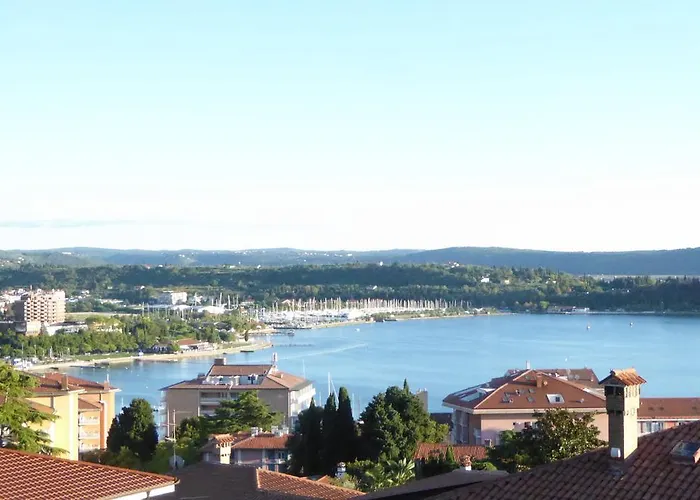 公寓 鲁斯迪卡公寓 *