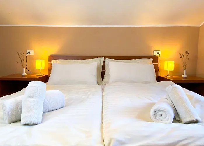 公寓 鲁斯迪卡公寓 *